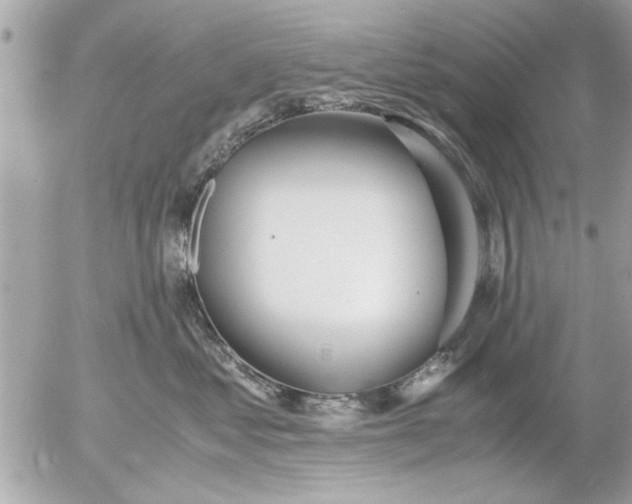 X0000055510621200508262142