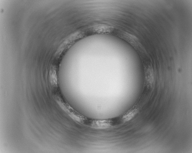 X0000055510622200508262142