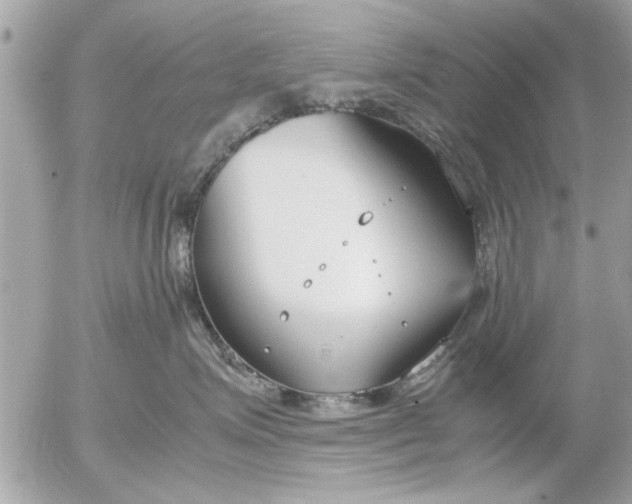 X0000055510623200508262142