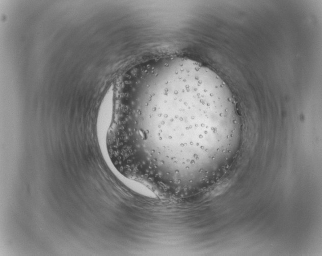 X0000055510624200508262142