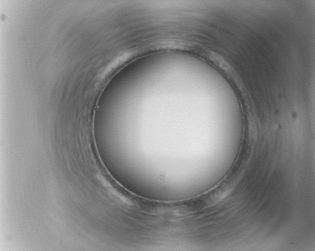 X0000055510625200508262141