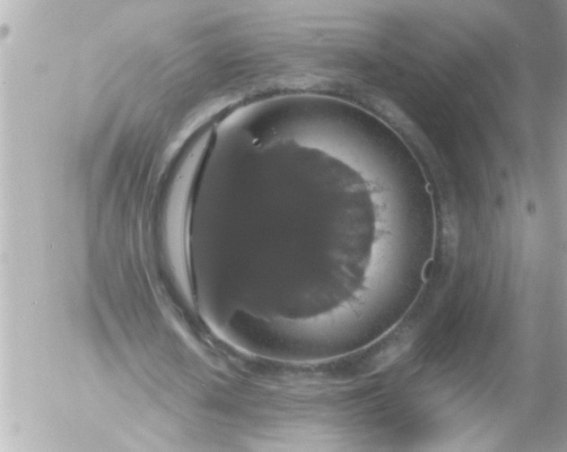 X0000055510626200508262141