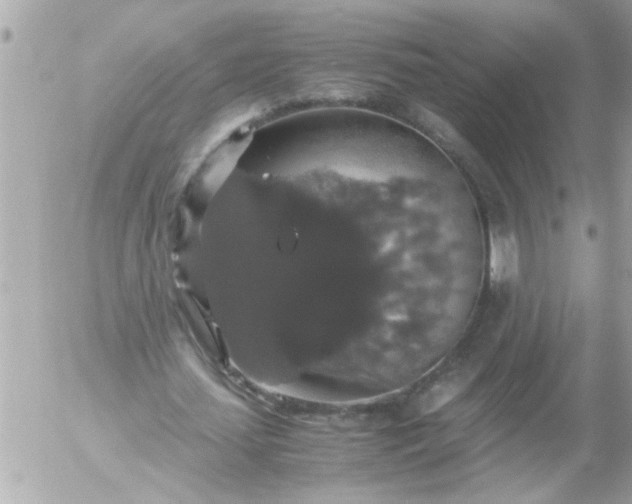 X0000055510627200508262141