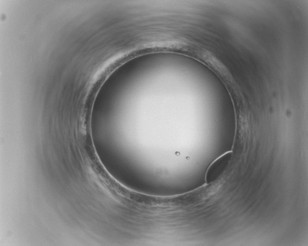 X0000055510628200508262141