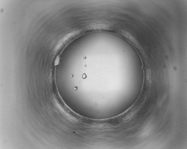 X0000055510629200508262141