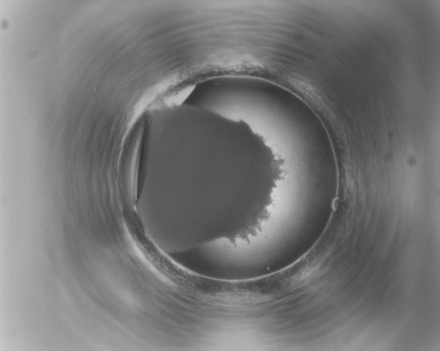 X0000055510630200508262141