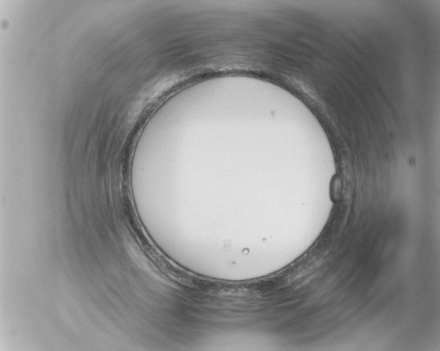 X0000055510631200508262141