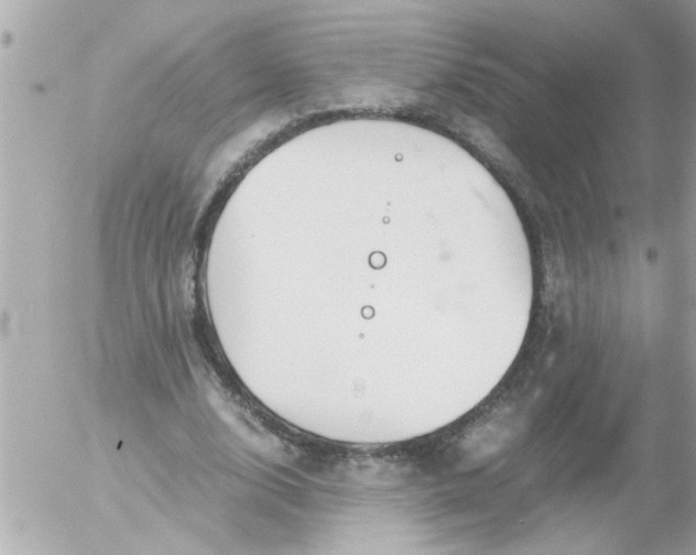 X0000055510632200508262141