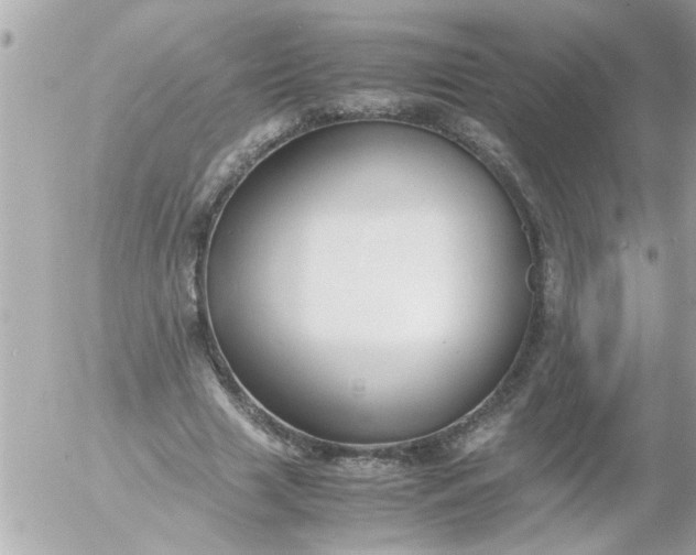 X0000055510633200508262141