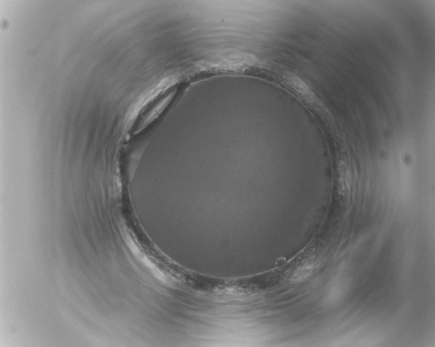 X0000055510634200508262141