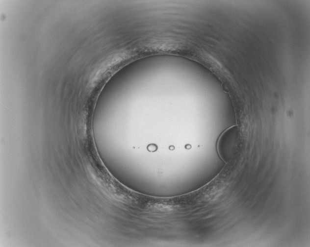 X0000055510635200508262141