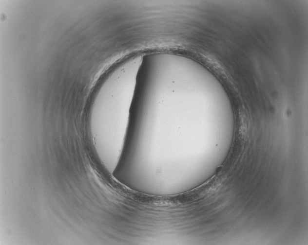 X0000055510636200508262141