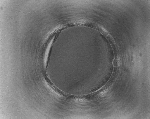 X0000055510637200508262141