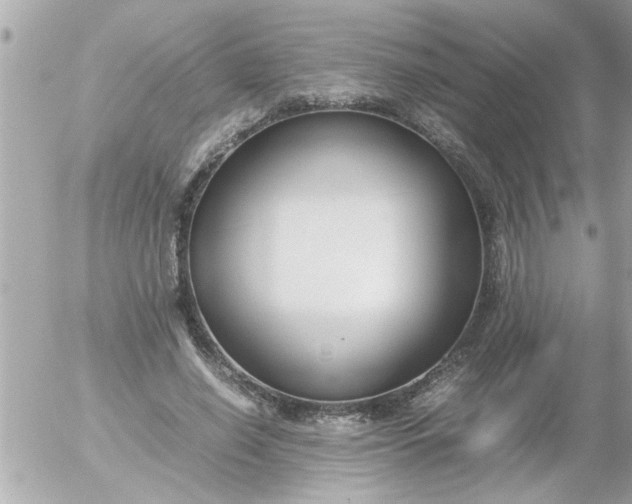 X0000055510638200508262141