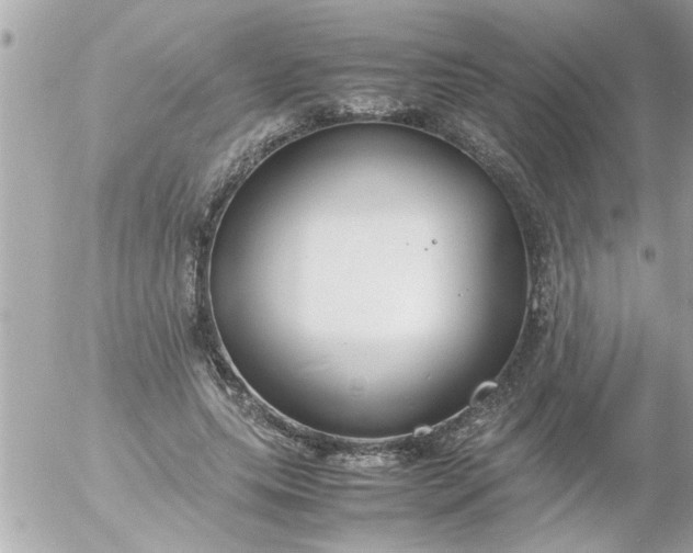 X0000055510639200508262141