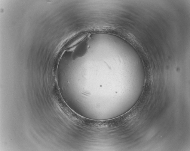 X0000055510640200508262141