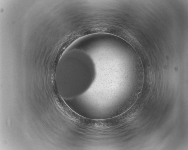 X0000055510641200508262141