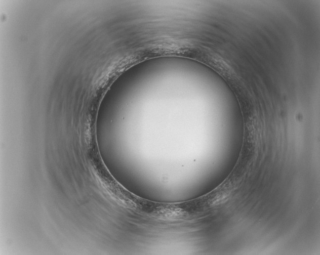 X0000055510642200508262141