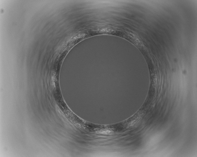 X0000055510643200508262141