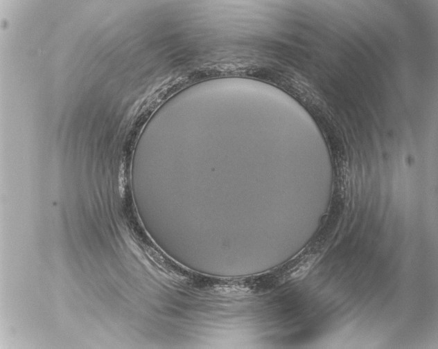 X0000055510644200508262141