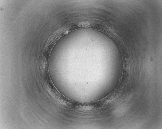 X0000055510645200508262141