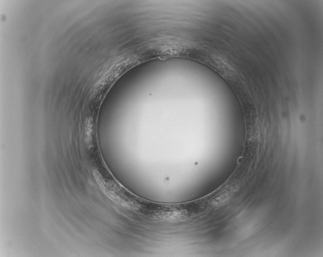 X0000055510646200508262141