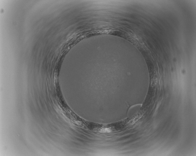 X0000055510647200508262141