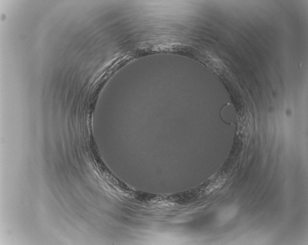 X0000055510648200508262141