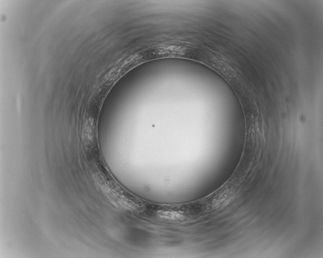 X0000055510649200508262141