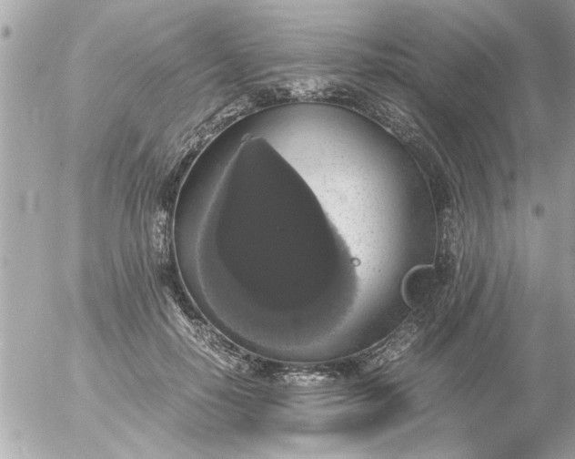 X0000055510650200508262141