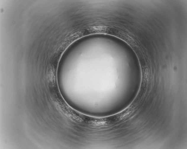 X0000055510651200508262141