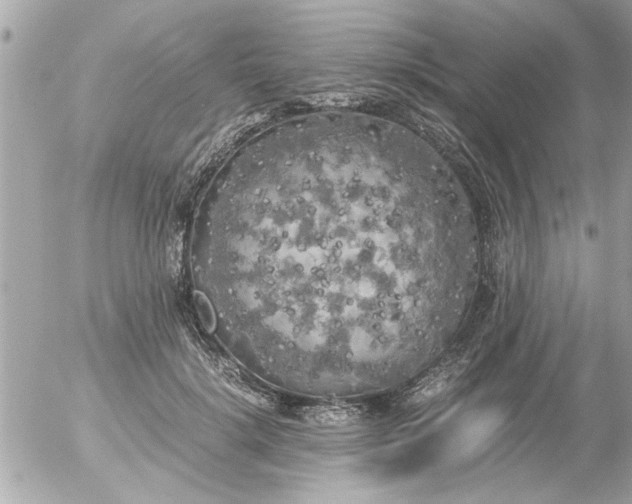 X0000055510652200508262141