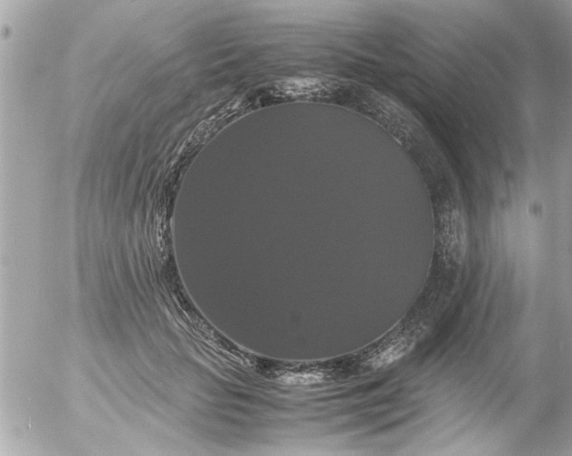 X0000055510653200508262141