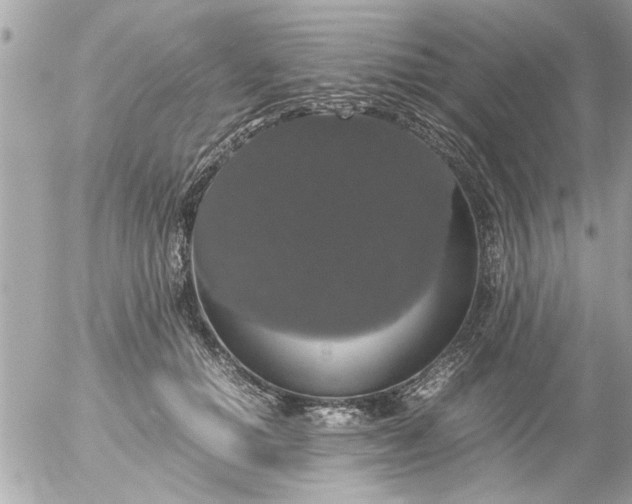 X0000055510654200508262141