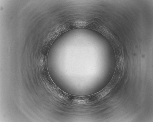 X0000055510655200508262141