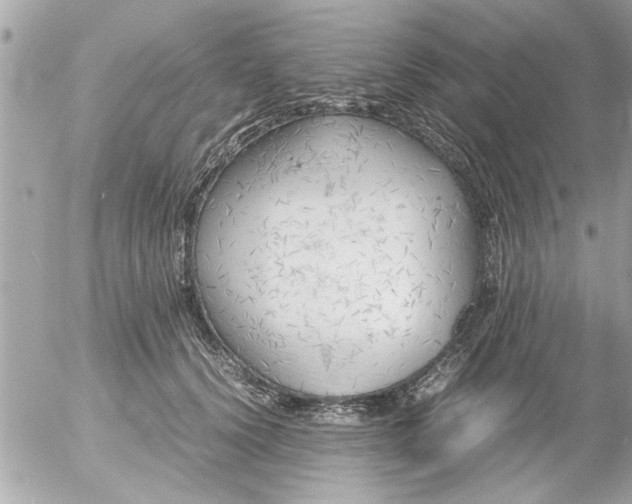 X0000055510656200508262141