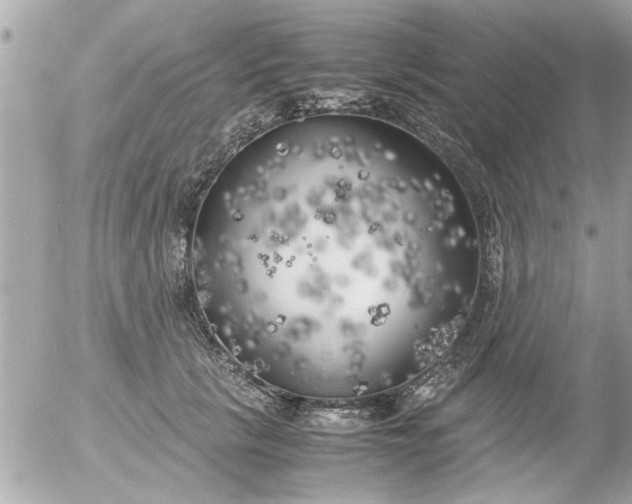 X0000055510657200508262141