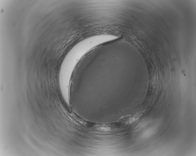 X0000055510658200508262141