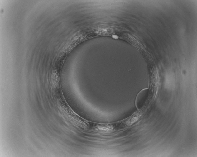 X0000055510659200508262141