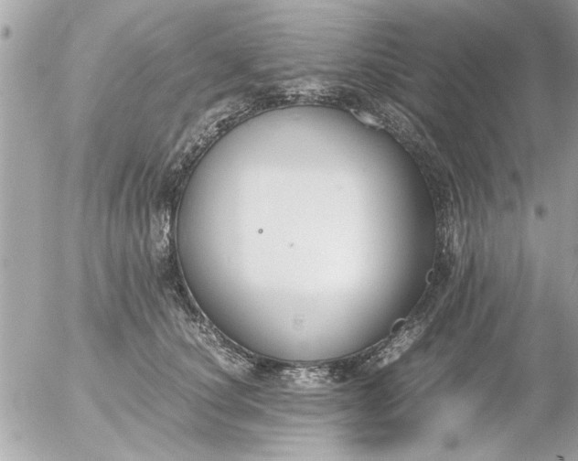 X0000055510660200508262141