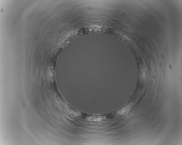 X0000055510661200508262141