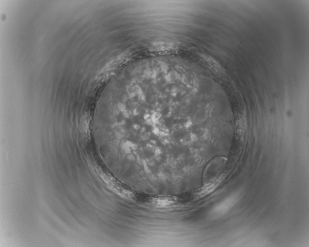 X0000055510662200508262141