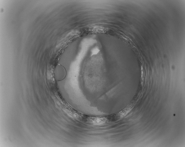 X0000055510663200508262142