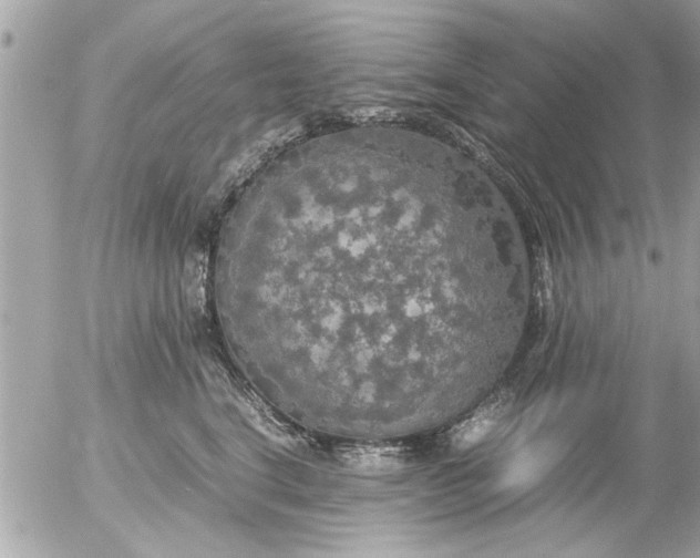 X0000055510664200508262142