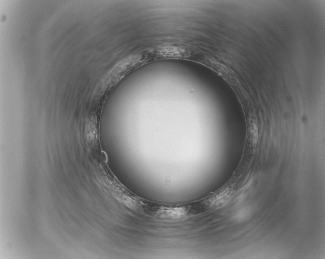 X0000055510665200508262142