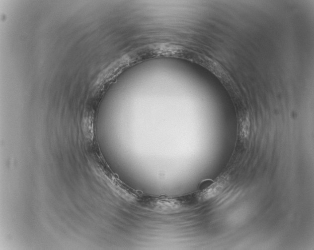 X0000055510666200508262142