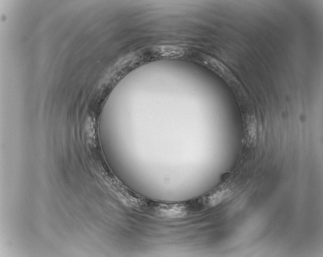 X0000055510667200508262142