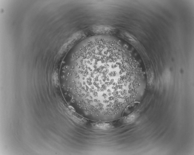 X0000055510669200508262142