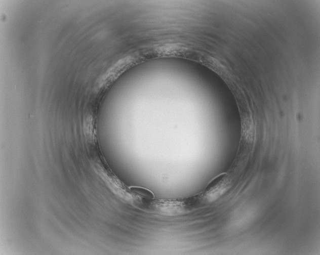 X0000055510670200508262142