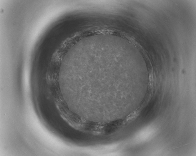 X0000055510671200508262142